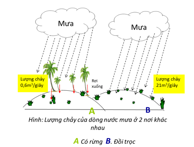 Vở ghi Bài 1- Sinh 10 - Kết nối